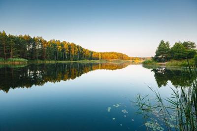 A,Calm,And,Silent,Morning,At,A,Small,Lake,,Forest