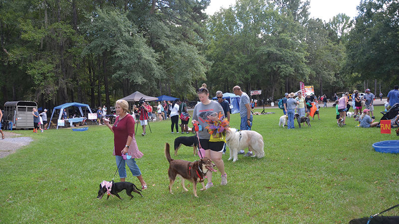 HSEC's Bark In The Park Coming Sept 17 To Fort Toulouse - Elmore-Autauga  News