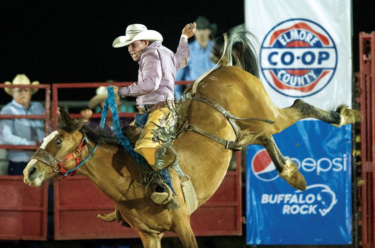 0508 Rodeo 12.jpg