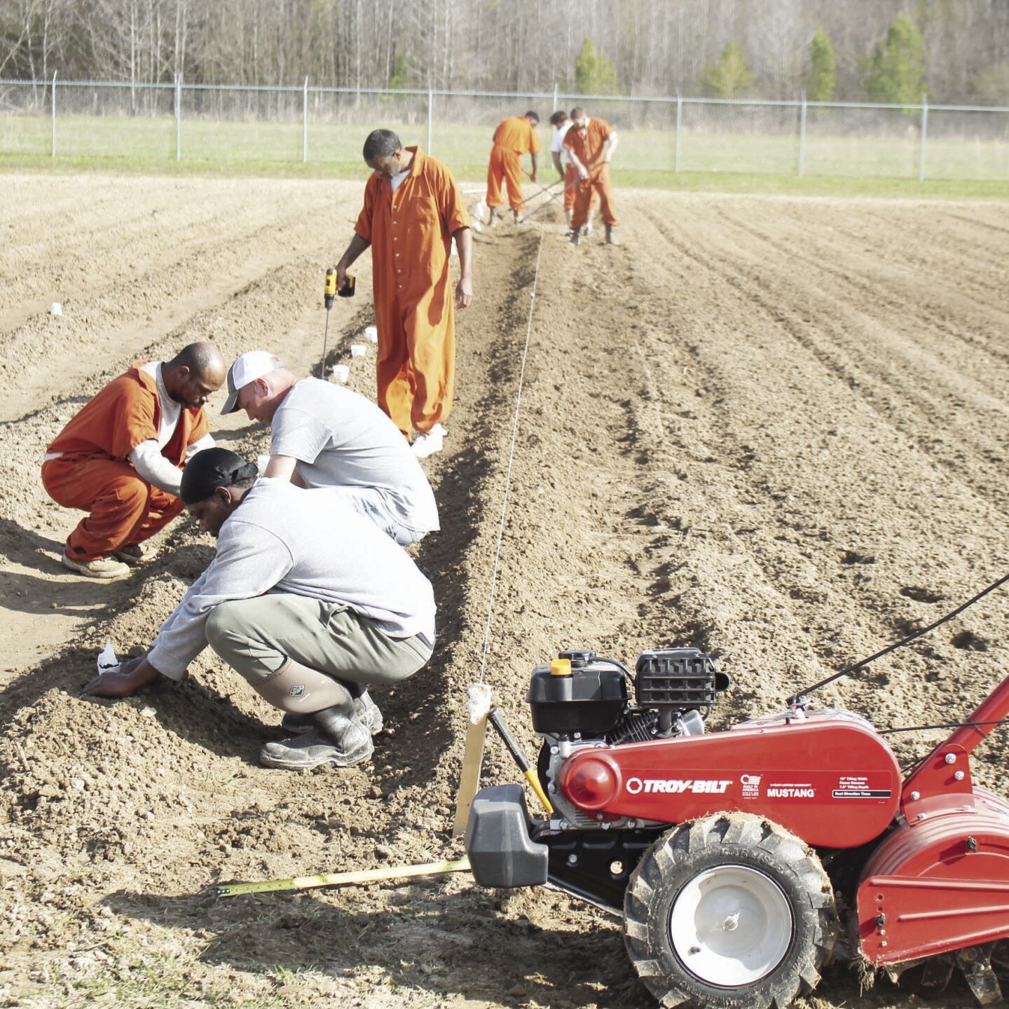 SFC Jail Garden News thnews