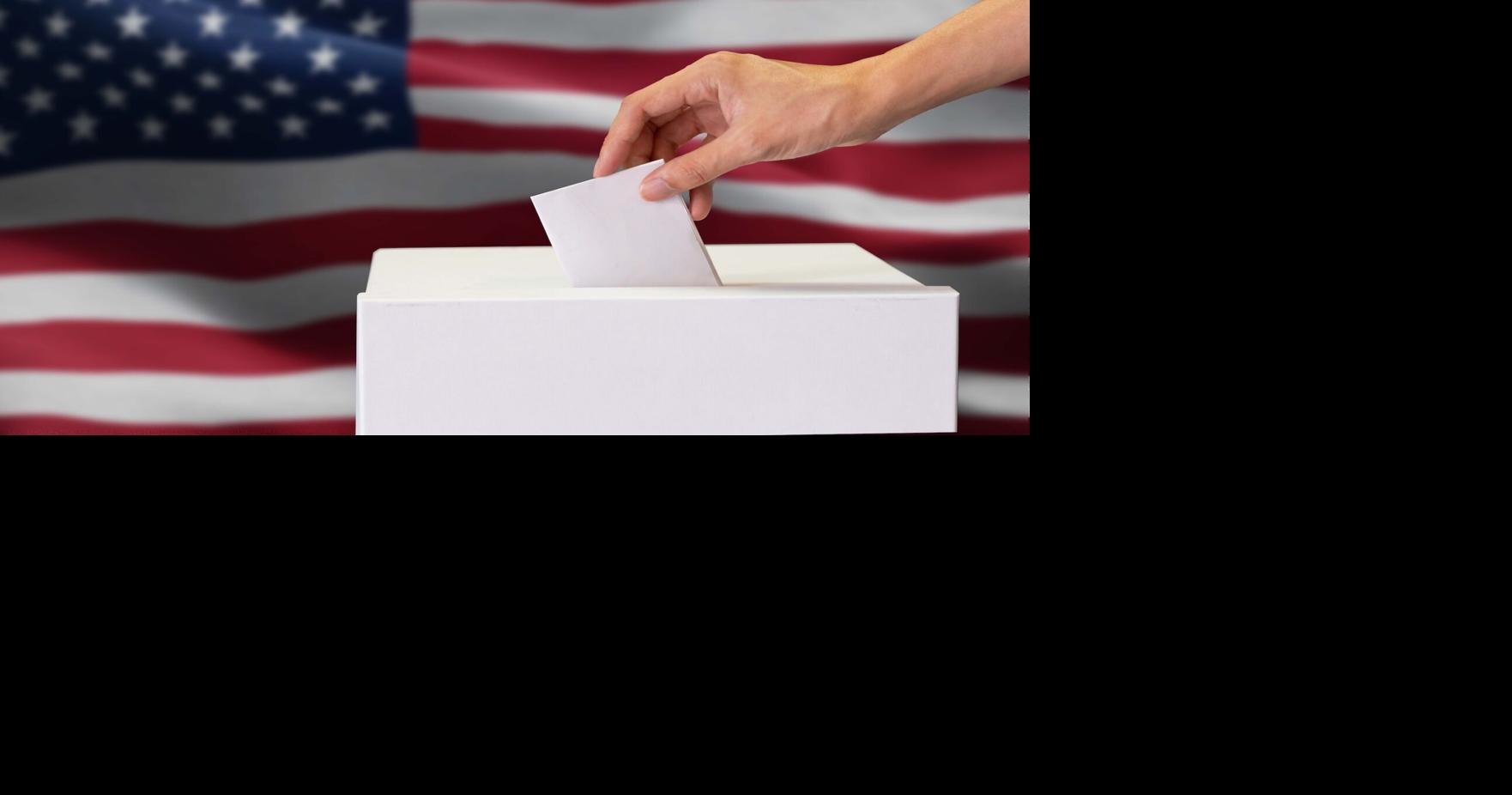 QUALIFIED: Locals sign on for down-ballot races | Local News | times ...
