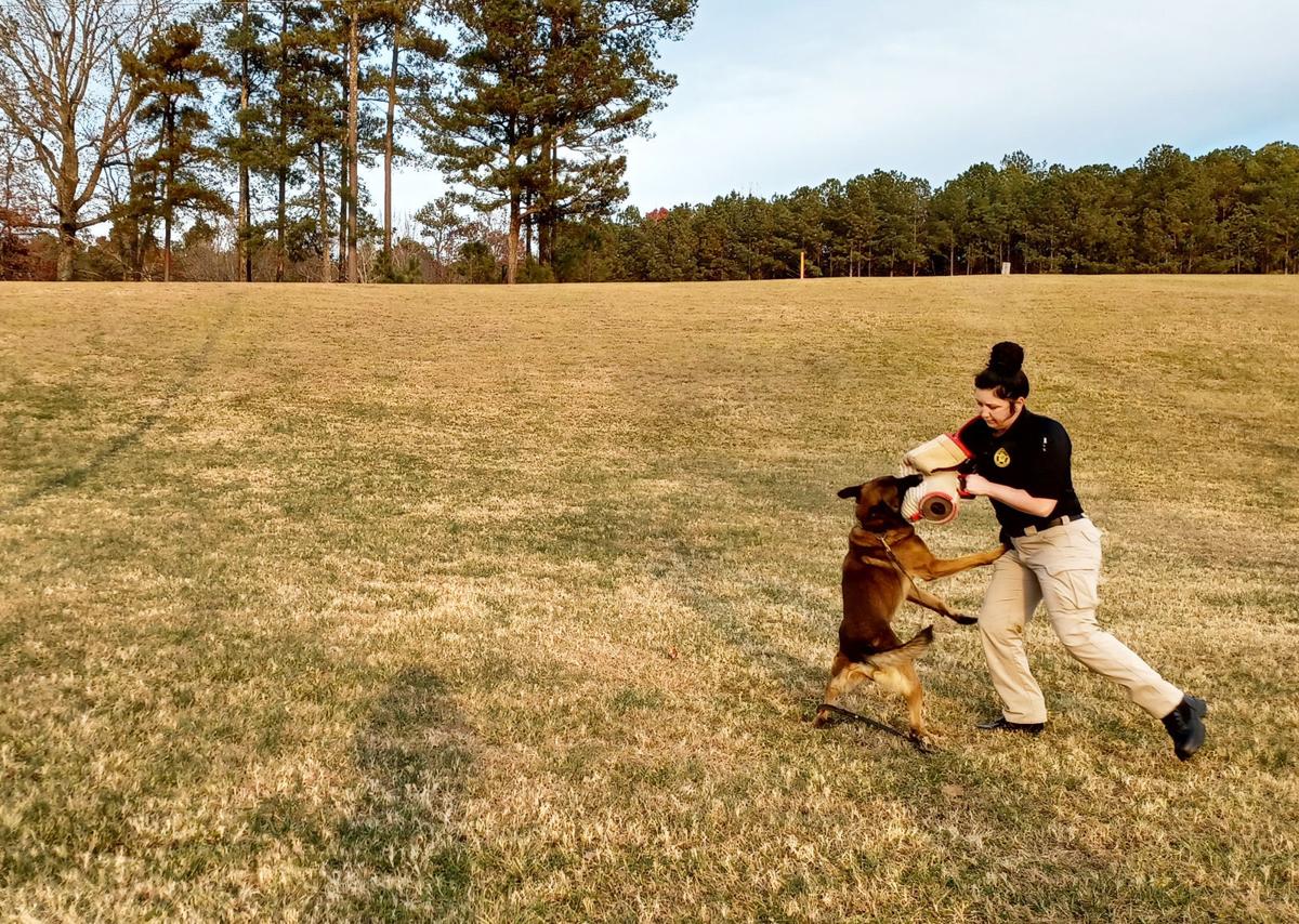Haralson County's K9 force to increase