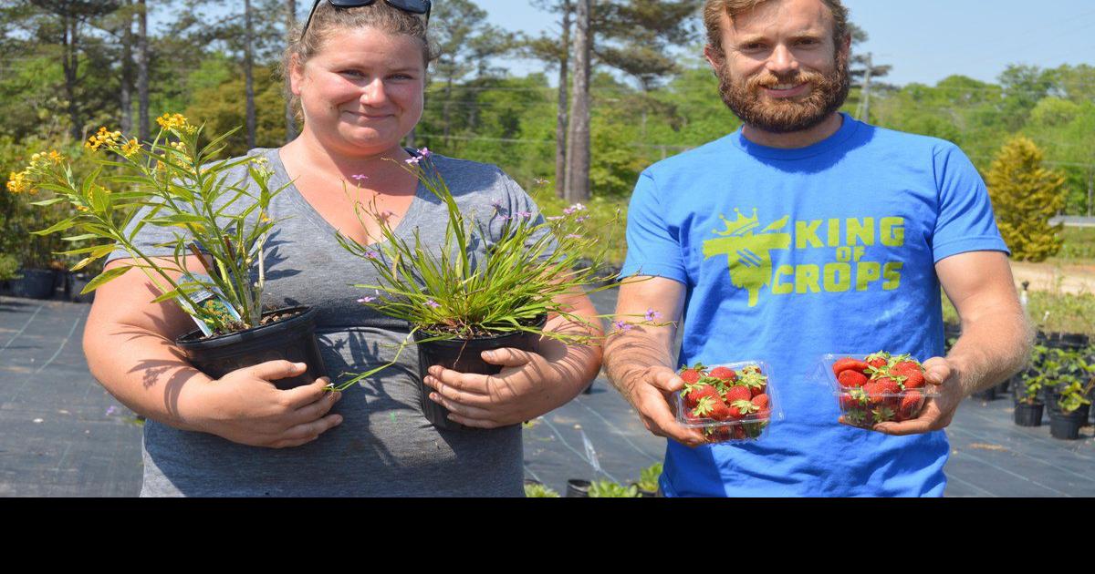 King of Crops farm to host 'Earth (Worm) Day' Saturday Archives
