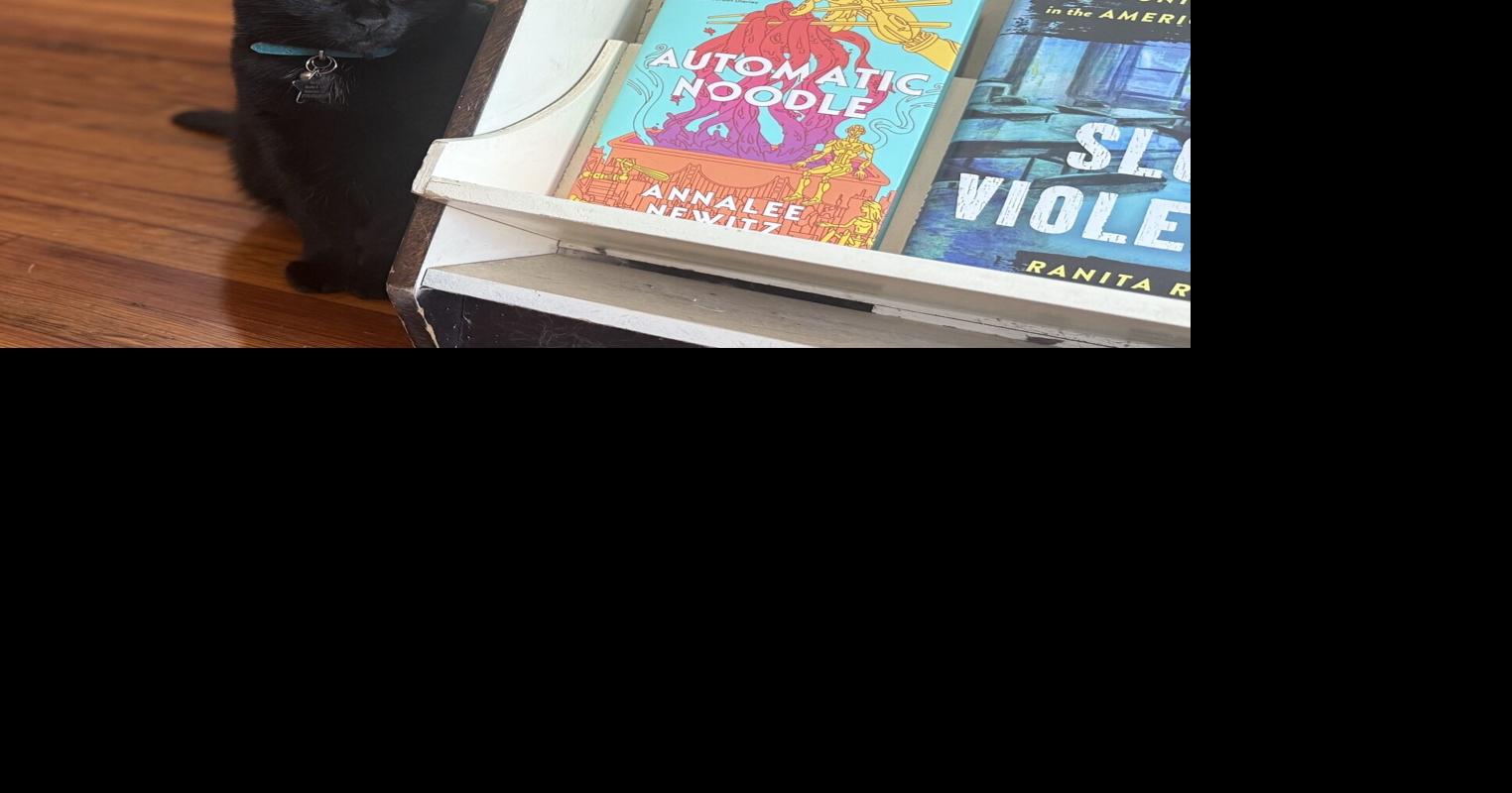 Carrollton has bookstore cats and all that