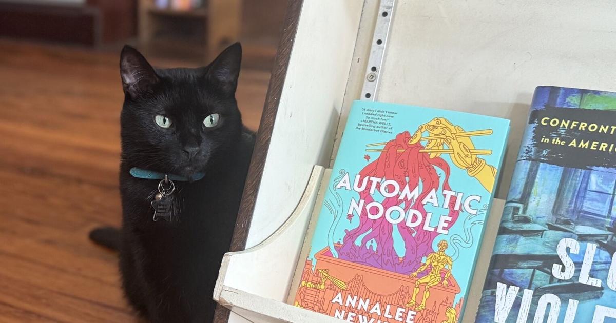 Carrollton has bookstore cats and all that