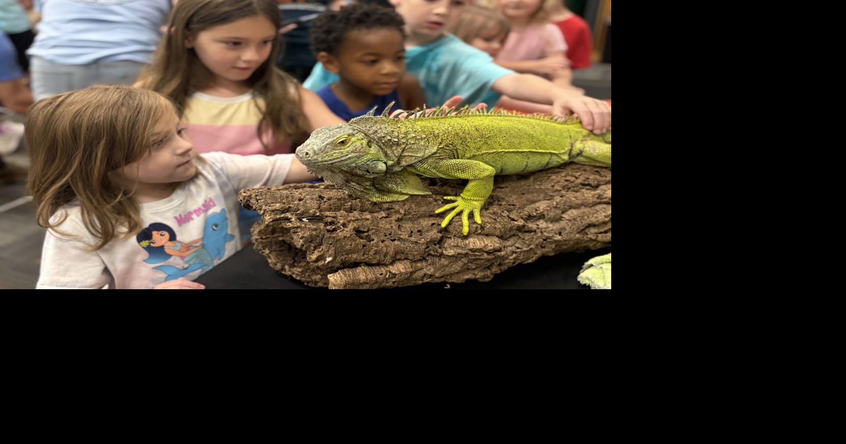 Villa Rica Library hosts 'scaley' summer show