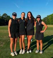 Carrollton, Bremen highlight local golf at state