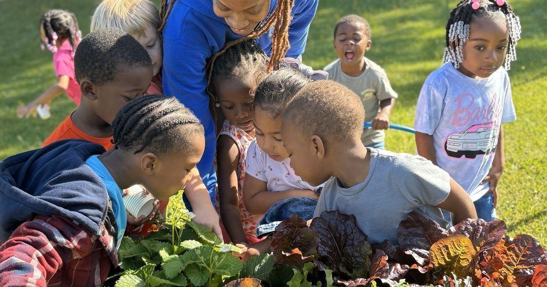New farm share program aims to improve food security | Times Georgian ...