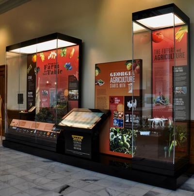 New exhibit at Georgia Capitol Museum celebrates agriculture