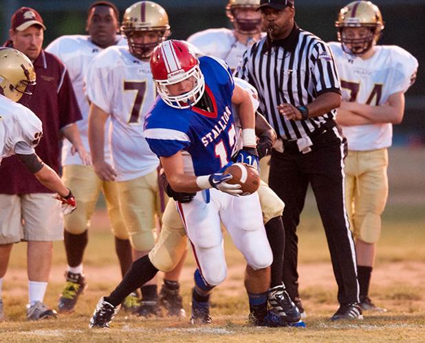 Stallions shine in showcase game