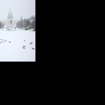 US government shuts down but quick resolution expected