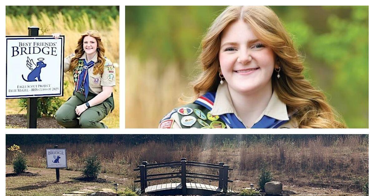 McGill wins Eagle Scout Service Project of the Year Award