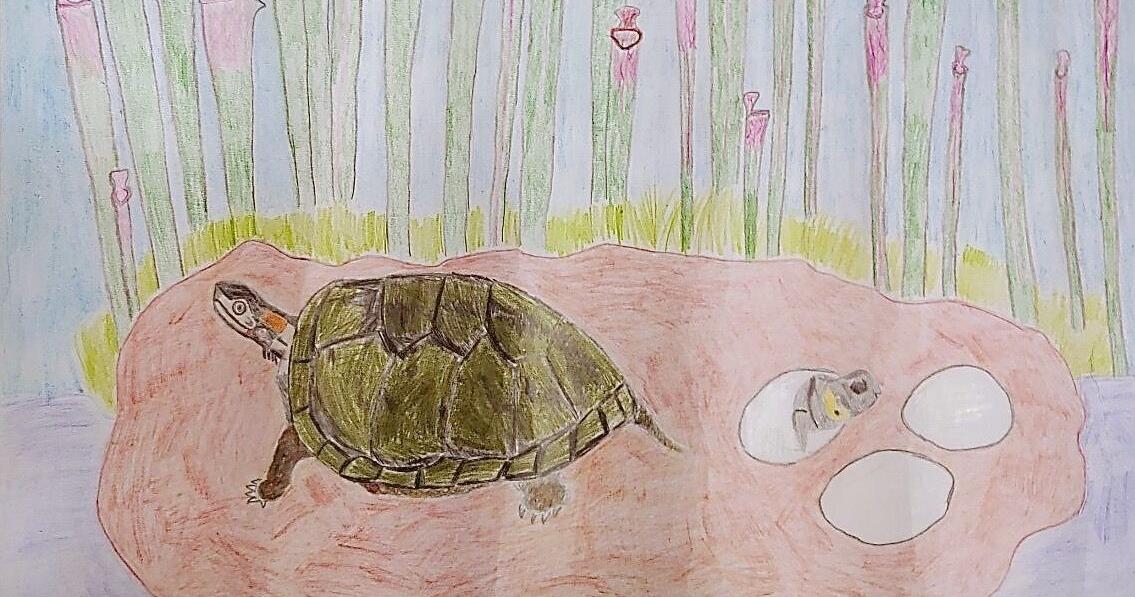 K-5 students invited to celebrate wildlife through art