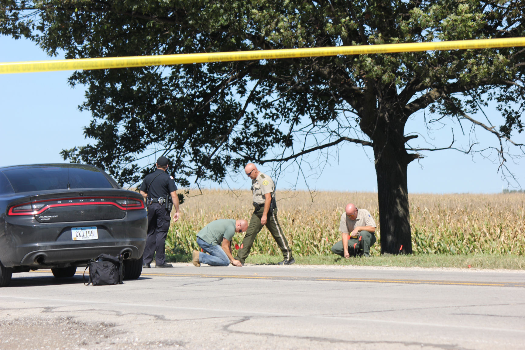 Driver in fatal hit and run identified | News | timescitizen.com