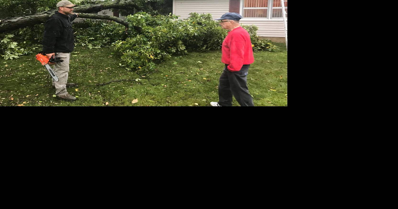 Powerful storm downs trees, power lines in IF | News | timescitizen.com