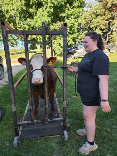 Raising Bunny: Growing and learning ahead of the fair | News ...