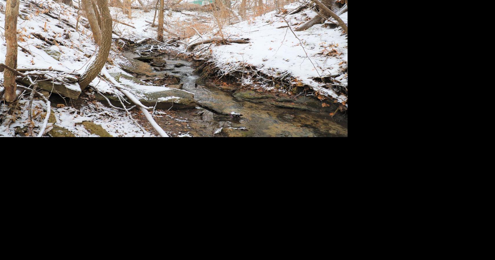 Fitts Ravine: What — and where — is this almost forgotten Iowa Falls ...