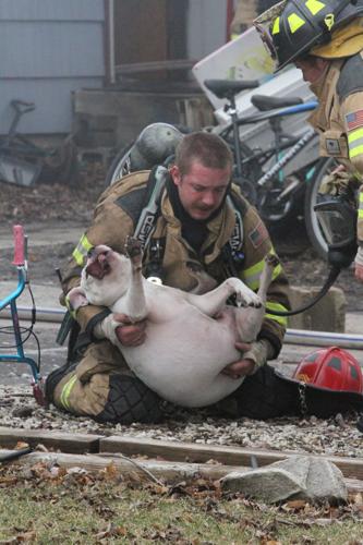 One dog saved, one dies in Wednesday fire | News | timescitizen.com