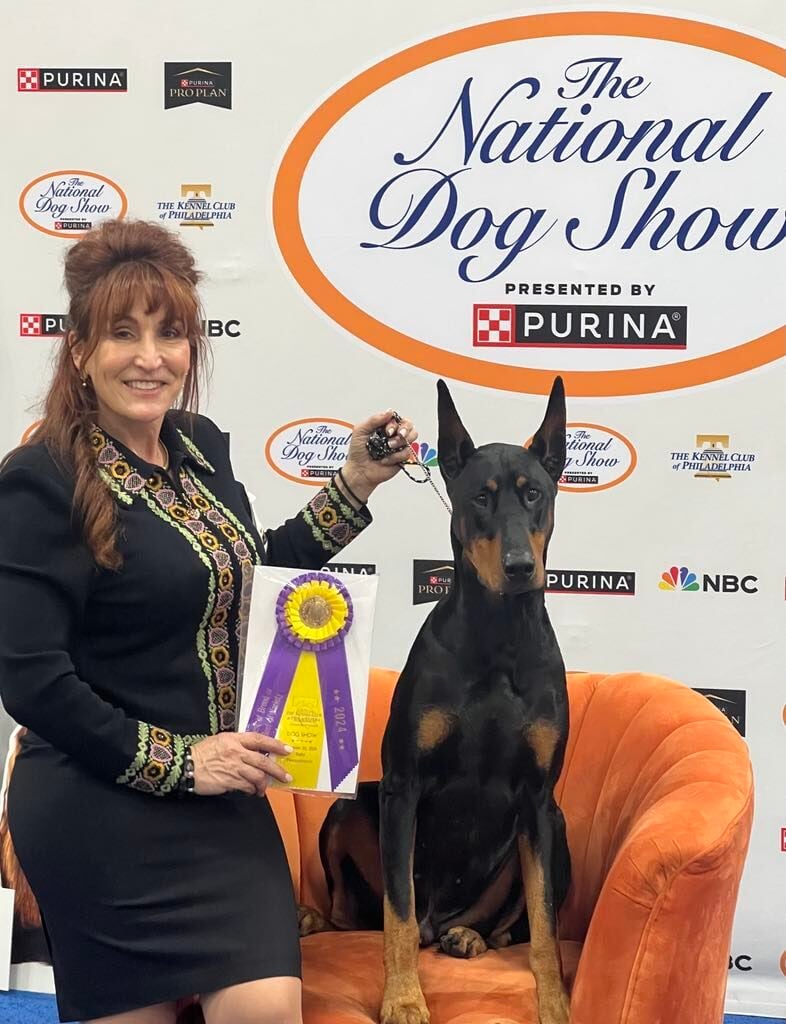 Best in Show: Alden native's Doberman shines in competitions
