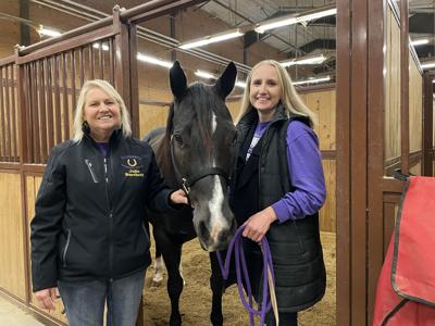 Equestrian Program Spotlight on ECC: Equine program one of a kind | News | timescitizen.com