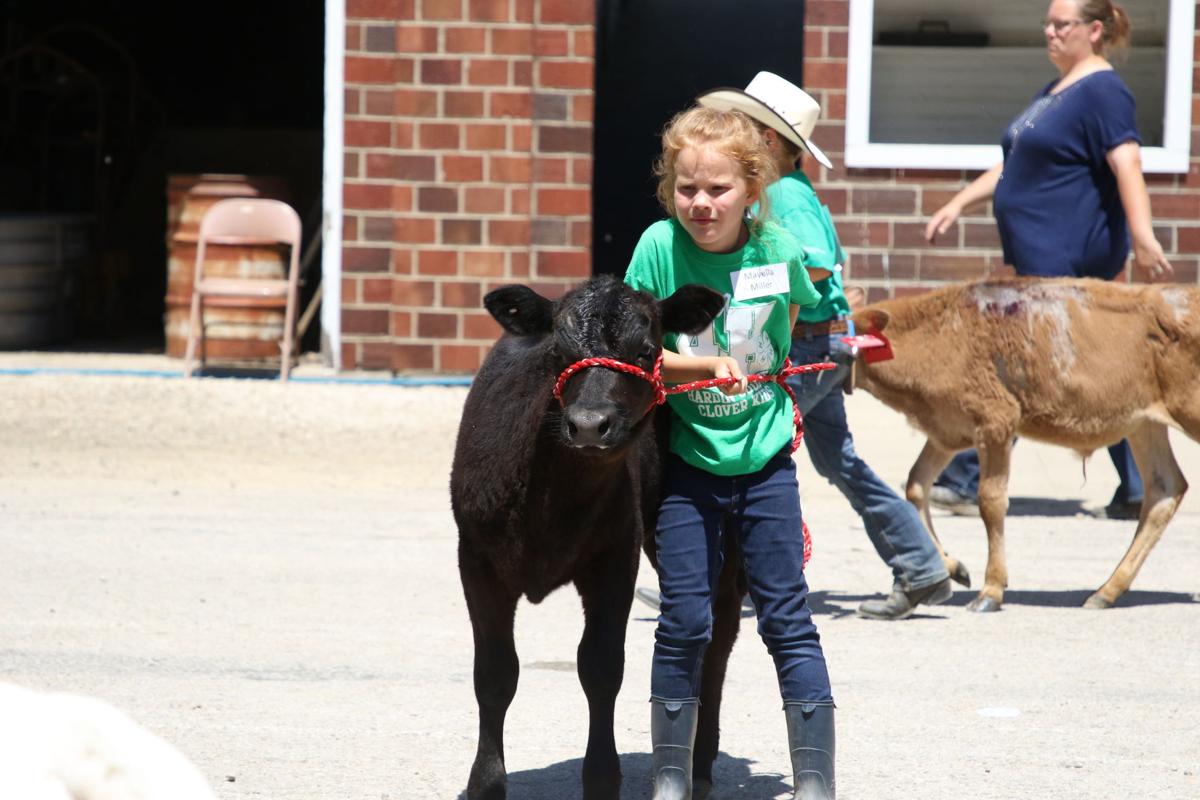 Hardin County Fair Iowa 2022