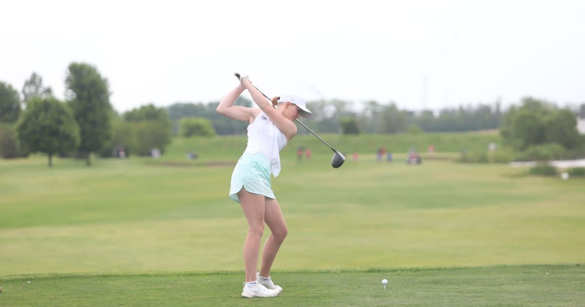 Vogel ends first State meet with birdies