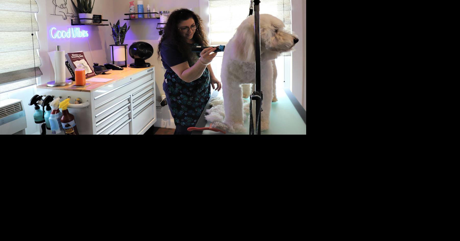 A Pawsitive Change | News | timescitizen.com