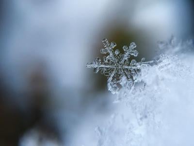 Snow