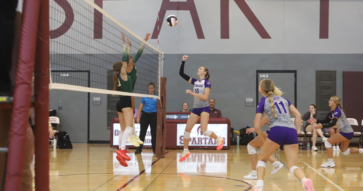 Cougars face three pre-season rateds