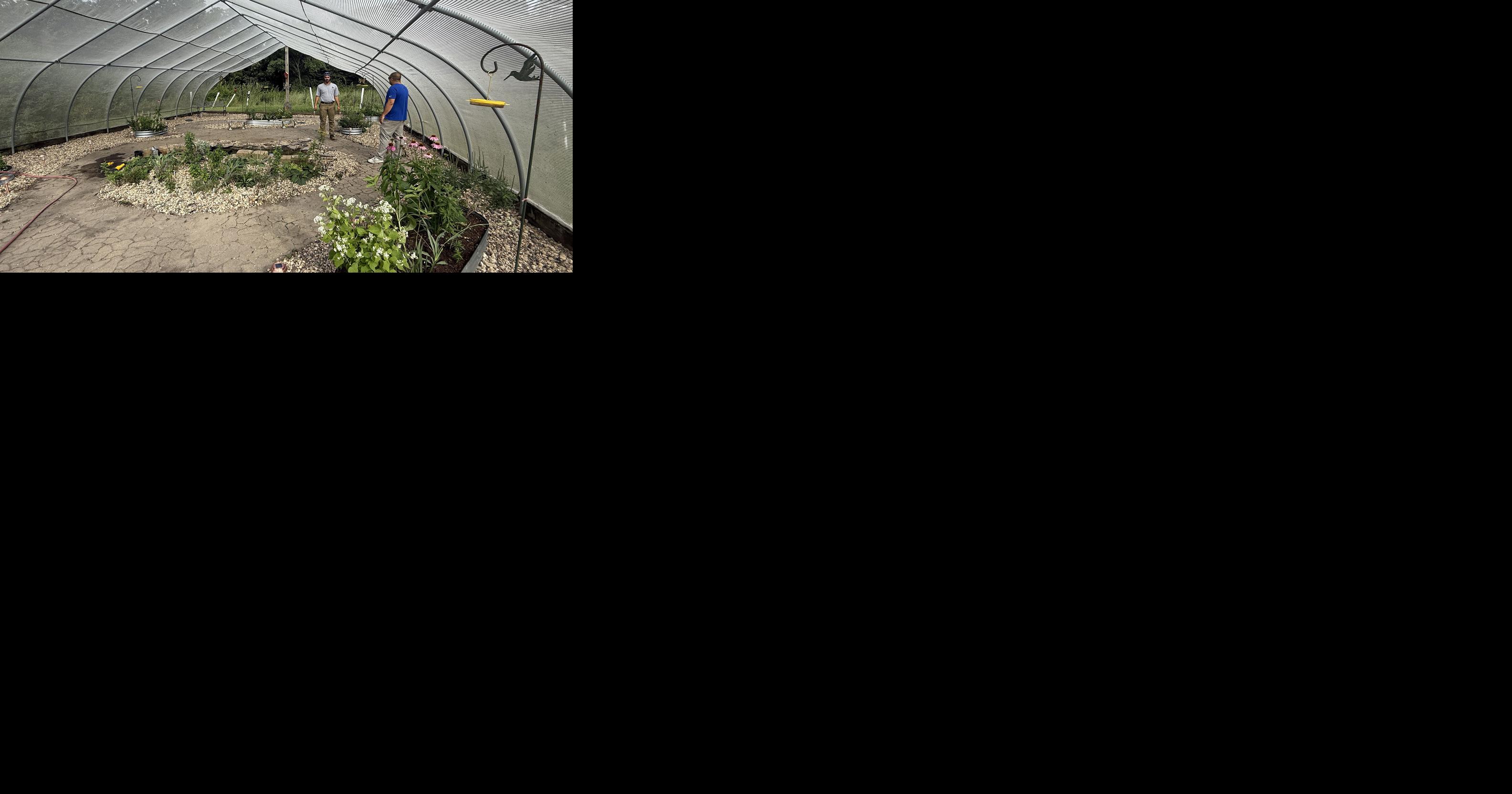 Welcome to the Revitalized Butterfly House