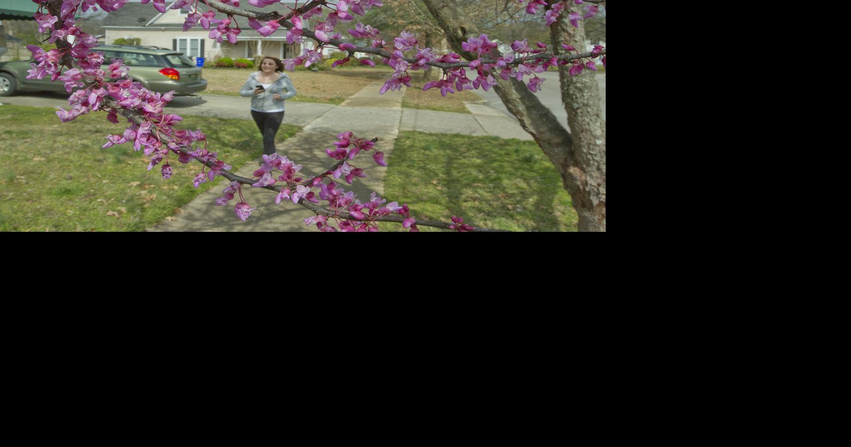 Spring officially arrives today | Local News | timesdaily.com