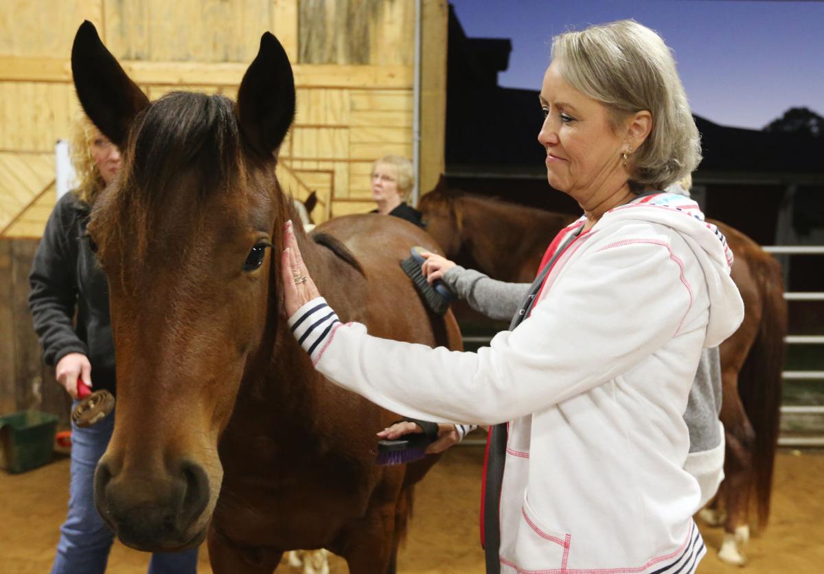 Breast cancer patients use horses for therapy Local News
