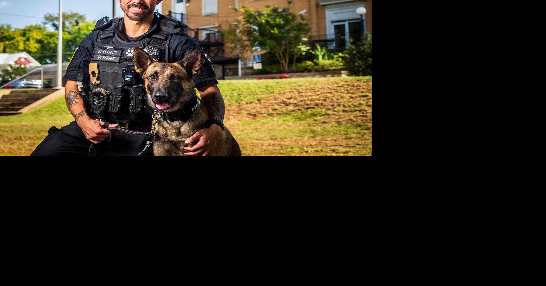 Hulix the Malinois joins Sheffield Police Force Local News