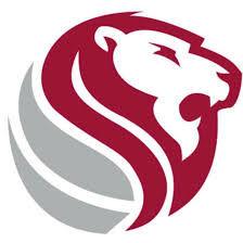 TimesDaily.com - Bedeviled: Etowah blows past Haleyville in 4A playoffs image