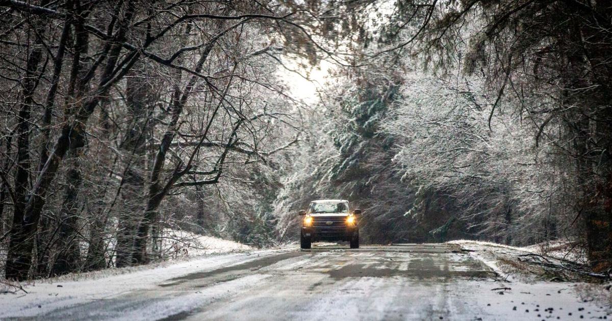Officials explain 'exploding tree' concept | Local News | timesdaily.com
