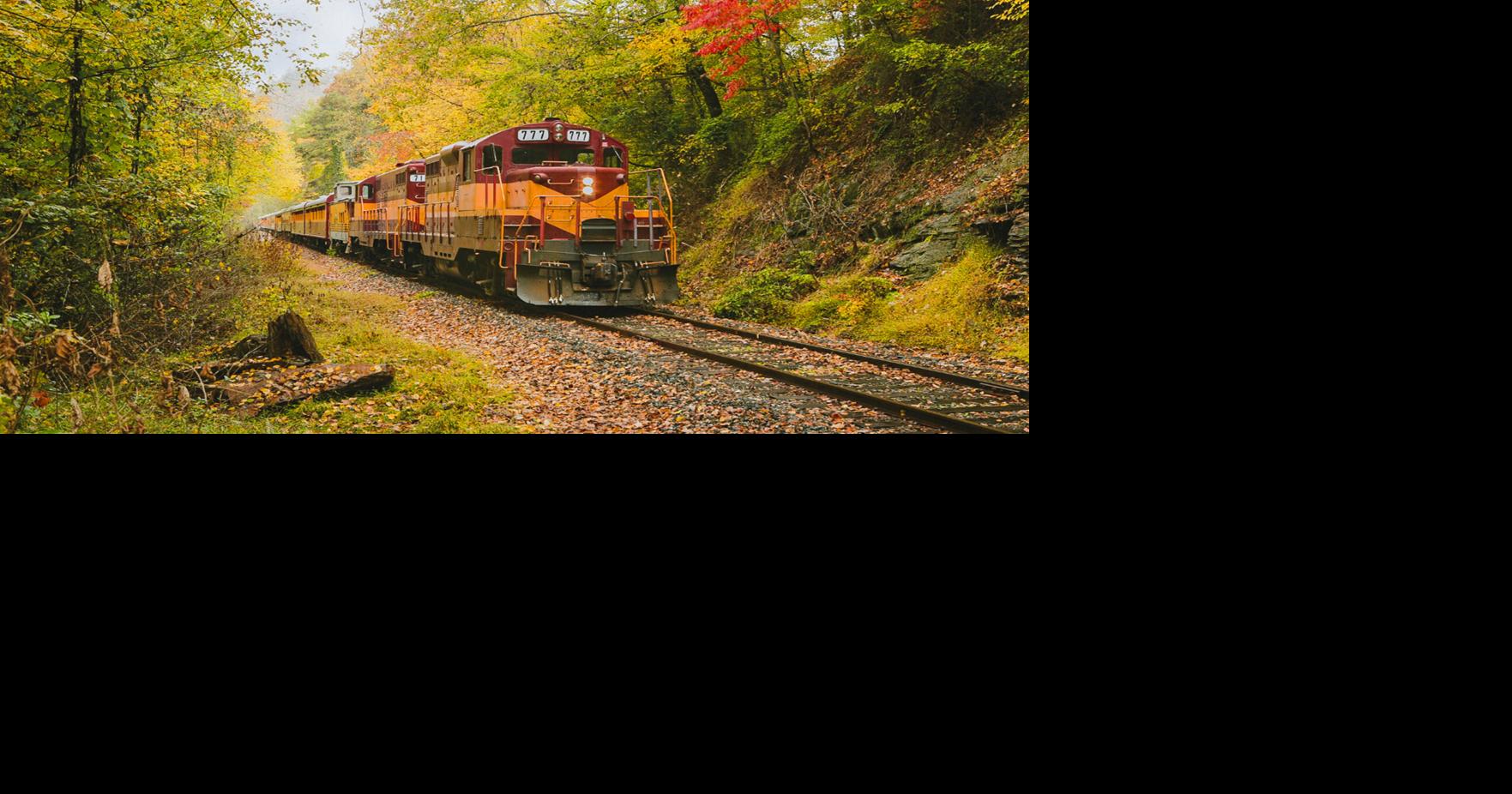 Relaxed, reinvigorated | | timesdaily.com