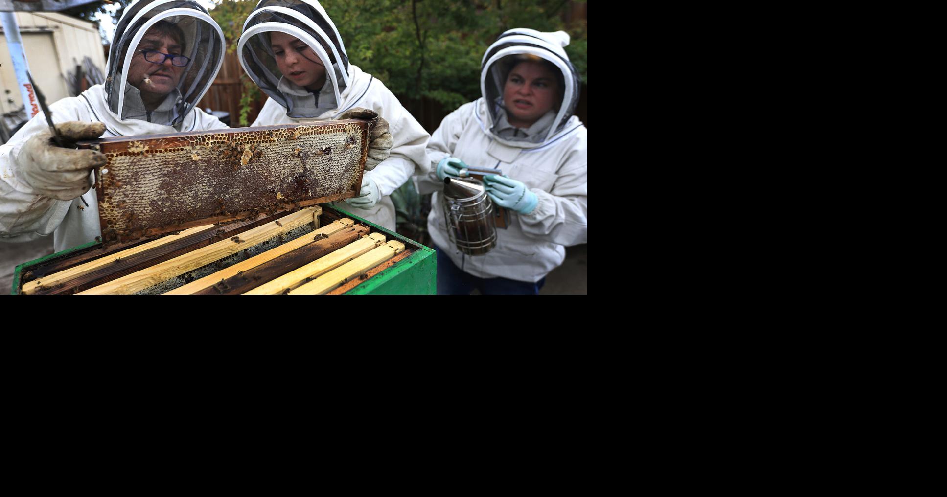 Saving the bees: City tried to stamp out 10-year-old's beehive project