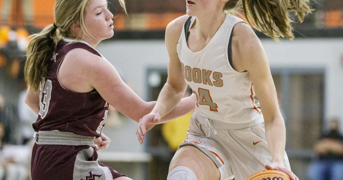 TimesDaily.com - Wanting more: Soaring Brooks Lions hope they're peaking at right time image