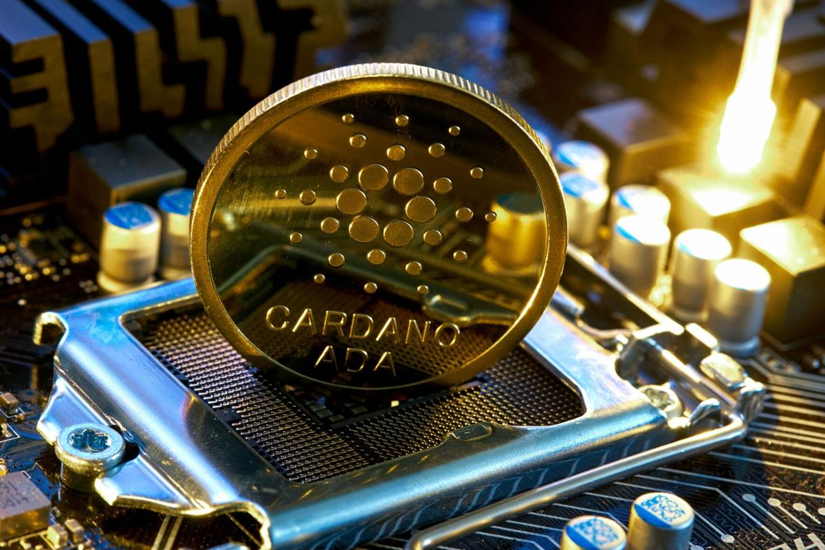 What Makes Dual Engine Crypto Platform the Future of Trading in US |  Sponsored Content | timesdaily.com