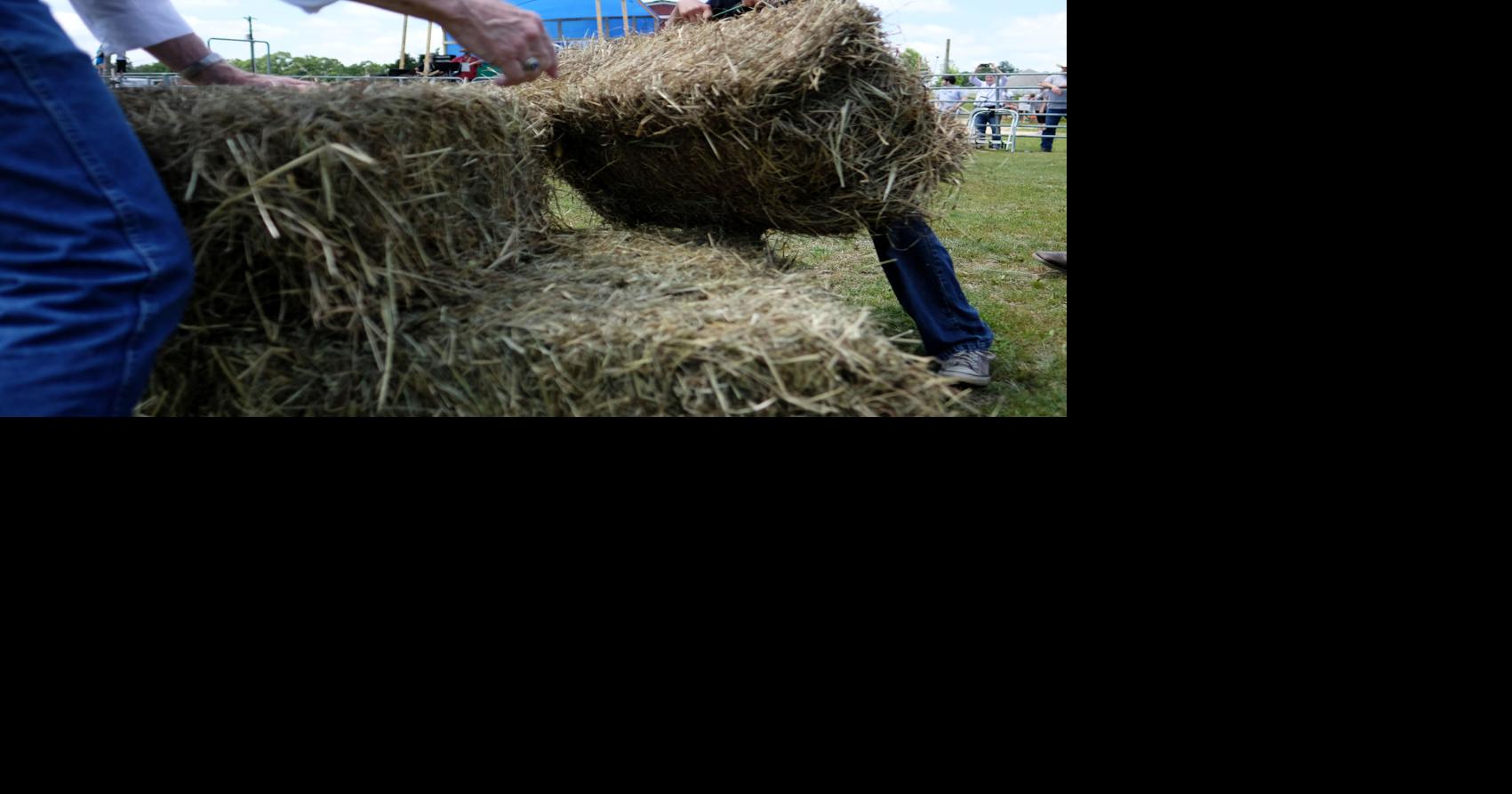 Horseless Rodeo | Gallery | timesdaily.com