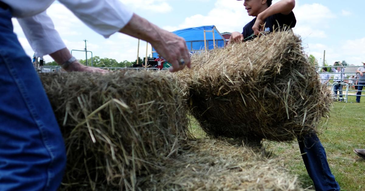 Horseless Rodeo Horseless Rodeo | Gallery | timesdaily.com