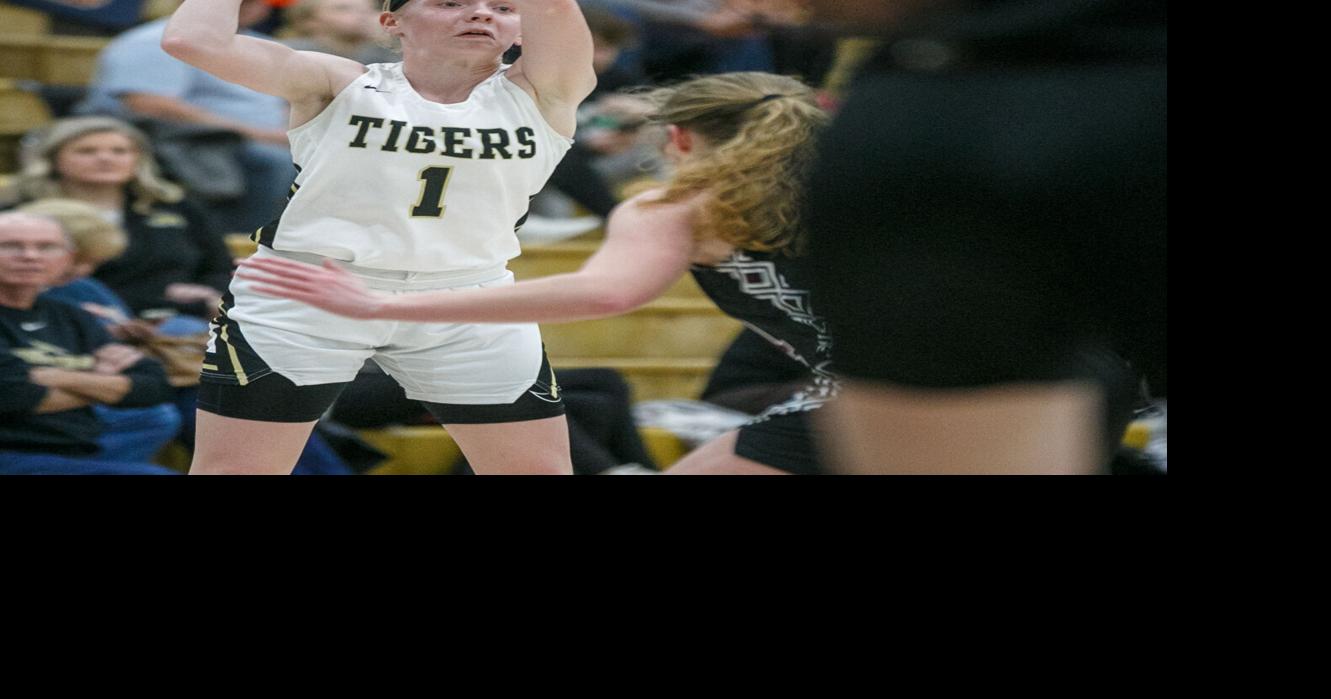 TimesDaily.com - Saturday's roundup | Russellville roars in 5A, Area 15 semifinals image