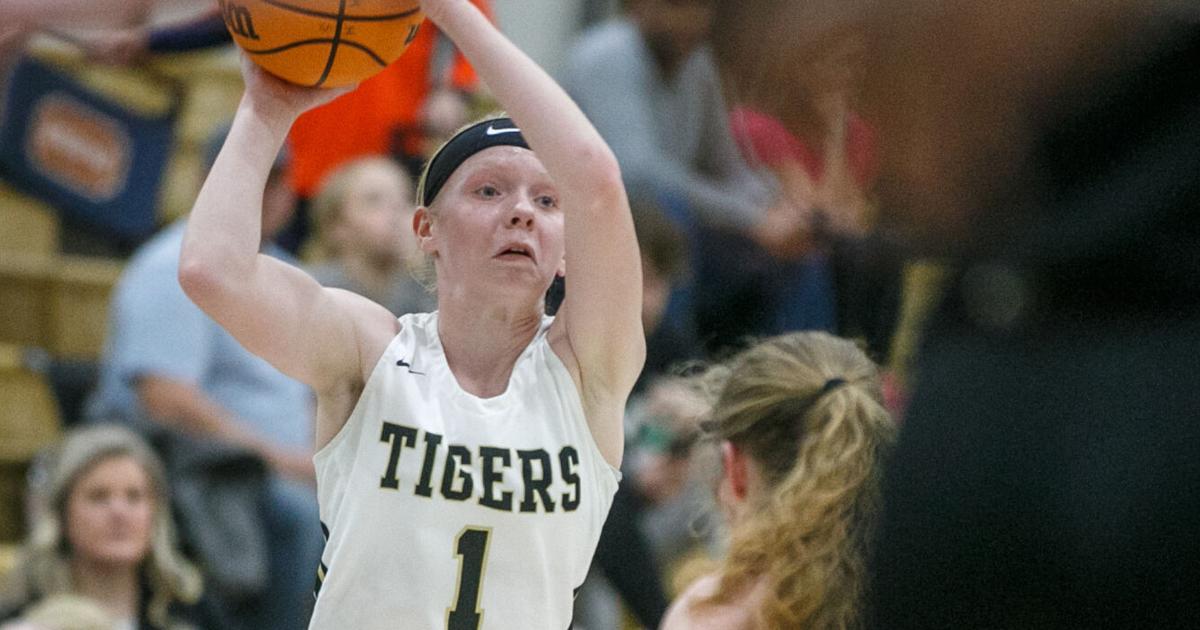 TimesDaily.com - Saturday's roundup | Russellville roars in 5A, Area 15 semifinals image