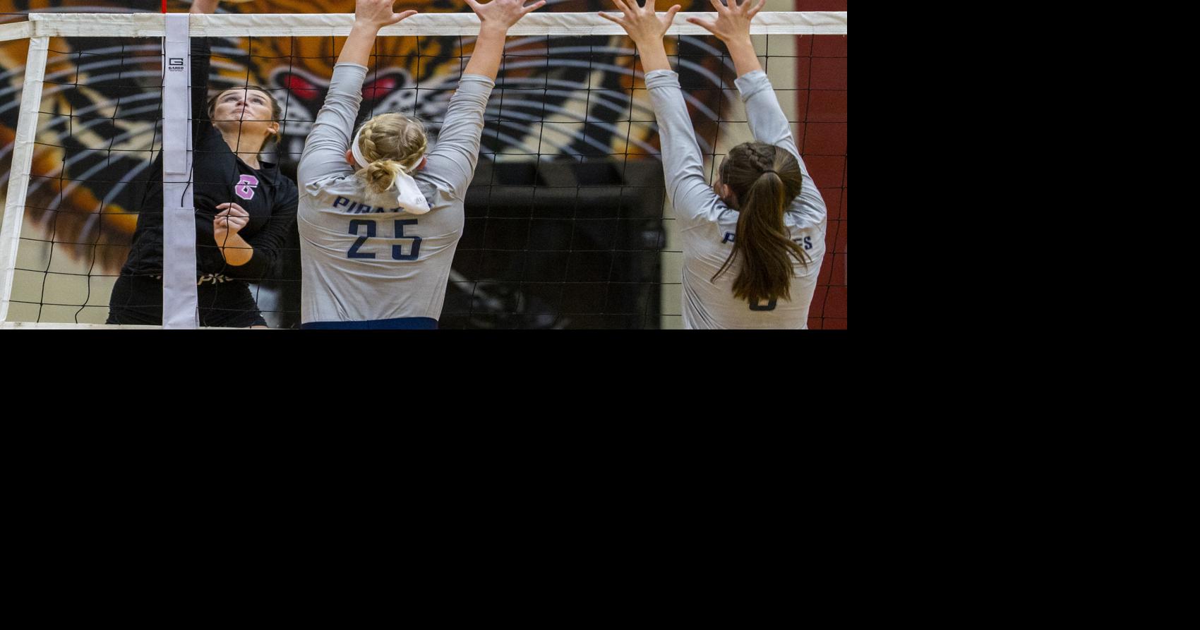 Deshler hosts Rogers in volleyball Gallery