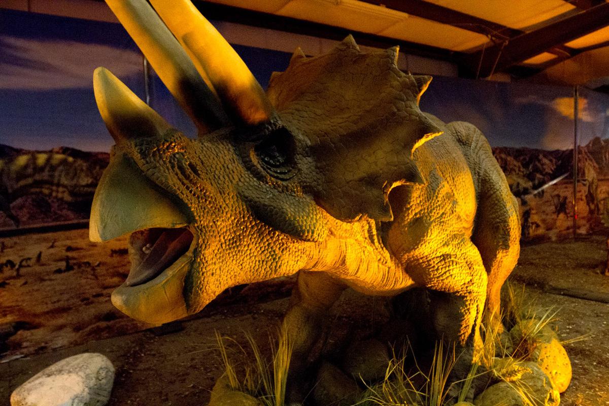 planet of dinosaurs t rex
