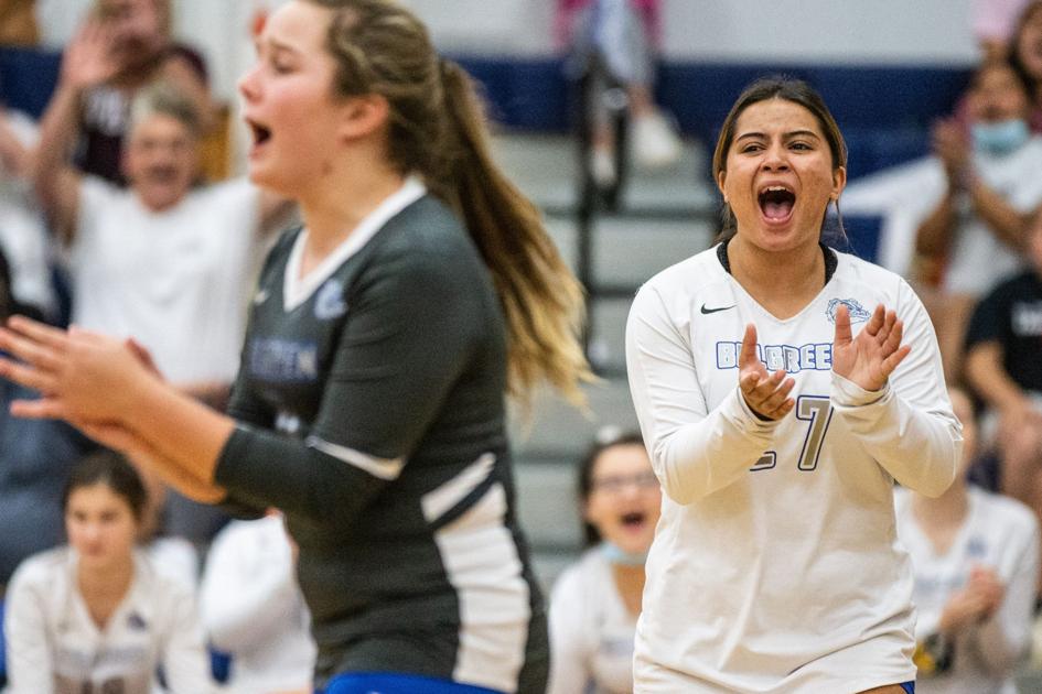 TimesDaily.com - High school volleyball: Eight local teams advance to Huntsville image