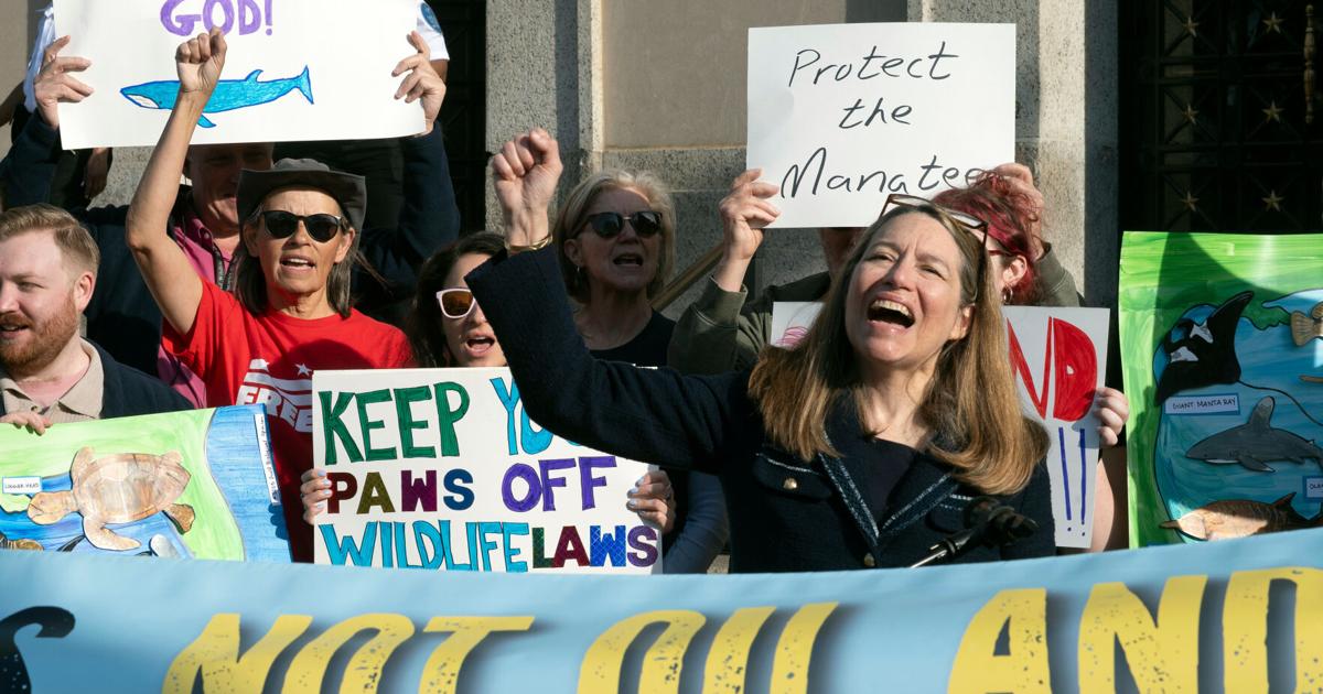 Federal 'God Squad' Sparks Controversy with Exemption for Oil and Gas Drilling in Gulf