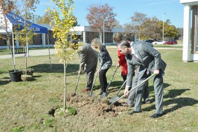 Tree planting (3).jpg