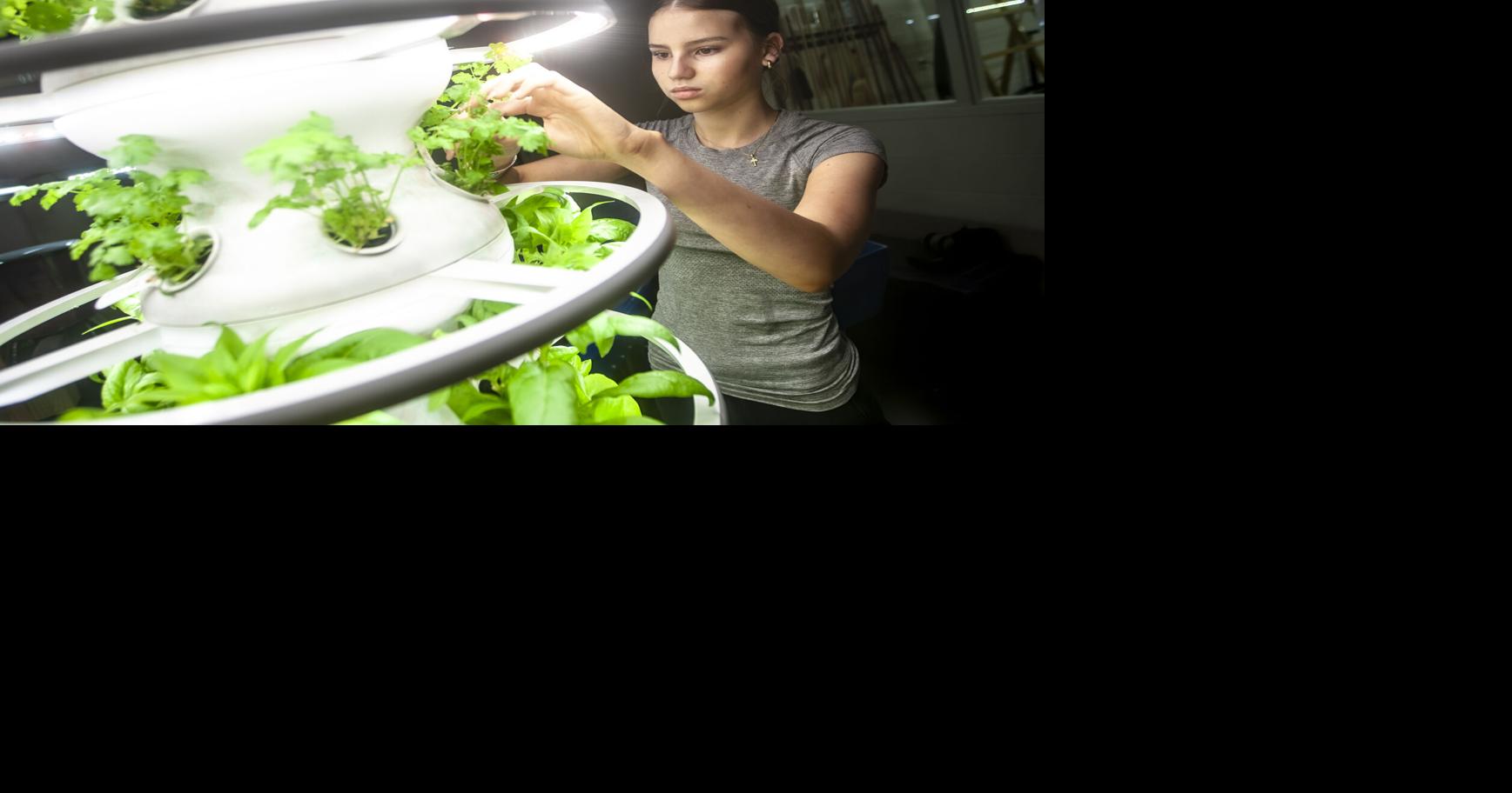 Middle school ag students explore hydroponic tower