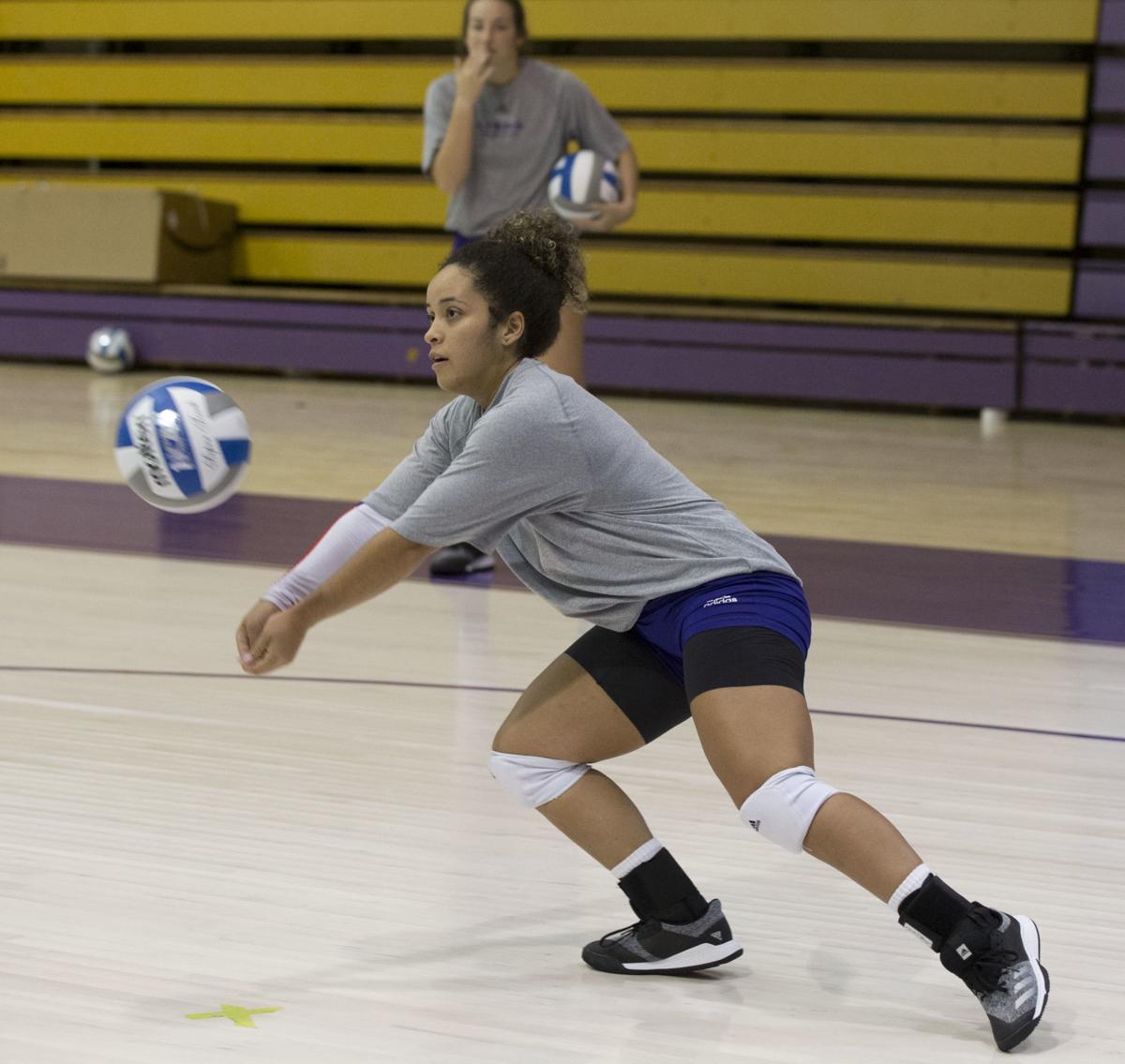 UNA volleyball practice with new coach Bob White | Gallery | timesdaily.com UNA volleyball practice with new coach Bob White | Gallery | timesdaily.com